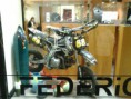 /album/galleria-fotografica/a63373-4905221878945-1768479779-n-jpg/